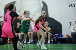 Жіноча Вища ліга: відеотрансляція матчу 18 грудня 